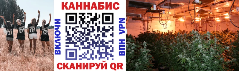 Где можно купить наркотики Ивангород Псилоцибиновые грибы Гашиш АМФЕТАМИН Cocaine A PVP