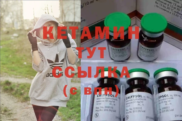 гашик Осташков