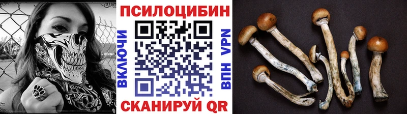 Галлюциногенные грибы Psilocybe  Ивангород 